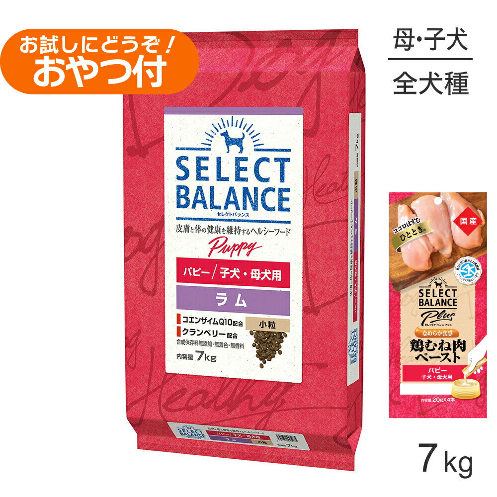 Premium - ■最大ポイント10倍【5/23〜要エントリー】セレクトバランス パピー ラム 小粒 子犬・母犬用 7kg+子犬・母犬用 鶏むね肉ペースト (20g×4本)×2袋(犬・ドッグ)