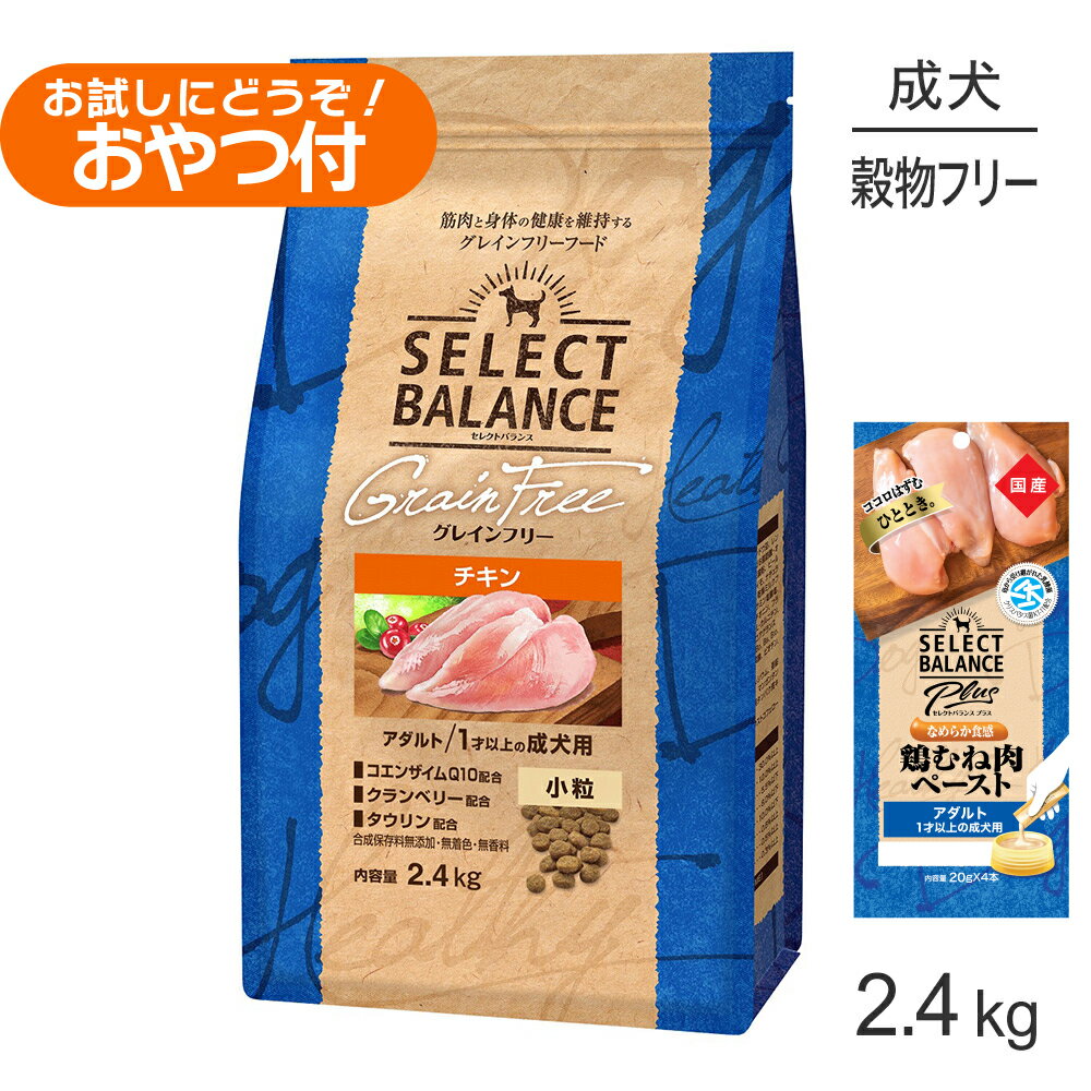 Domestic - セレクトバランス グレインフリー アダルト チキン 小粒 1才以上の成犬用 2.4kg+成犬用 鶏むね肉ペースト 20g×4本(犬・ドッグ)