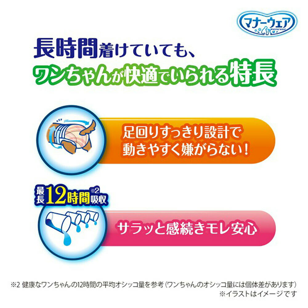 ������ݥ����10�ܡ��ץ���ȥ꡼�ۡ�30���2�ޡۥ�ˡ����㡼�� �ޥʡ������� Ĺ���ֲ�Ŭ����� ���λ��� M������ ������~�淿���� (�����ɥå�)