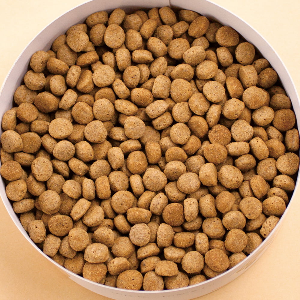 ベッツセレクション 犬用 消化器ケア 療法食 1.8kg (犬・ドッグ)