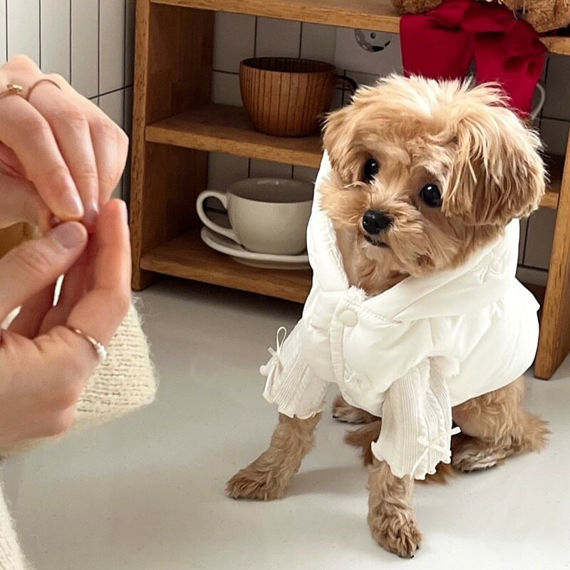 Pet Goods - テディベアのスタイリッシュなダウンジャケット、フリースボウ刺繍入りドッグコート、冬用暖かいフード付きコート、厚手ペットアクセサリー、犬用ペット服