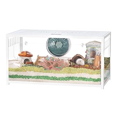 ϥॹ ᥿ 100cm  饱 ꥢ Ʃ 奿 2 եȥɥŬ ȤΩƴñ ѵ ...