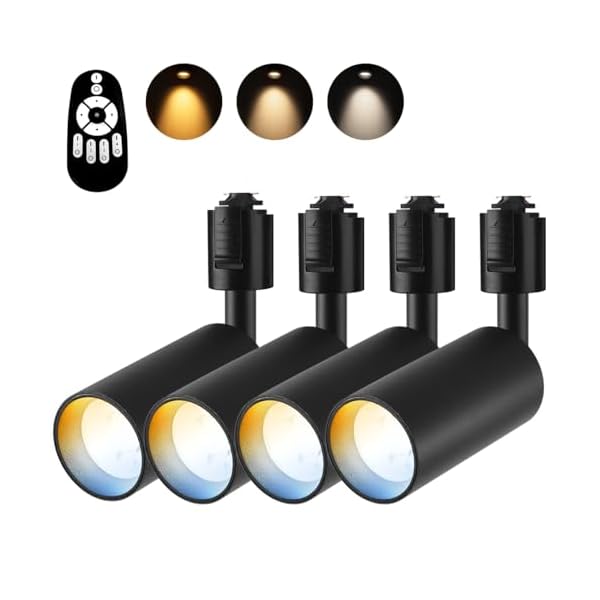スポットライト 4個セット ダクトレール用 4.5W（40W型相当） リモコン付き ライティングレール用 LED..