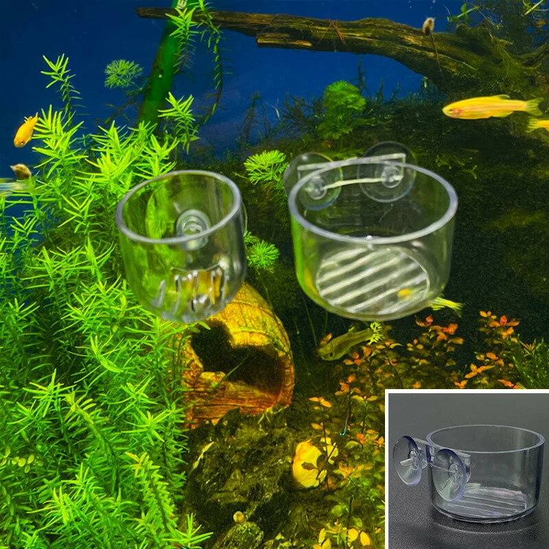 水族館の装飾用のアクリルガラスのミニポット,吊り下げられた水槽,水玉模様の植栽,シリンダーカップ,給..