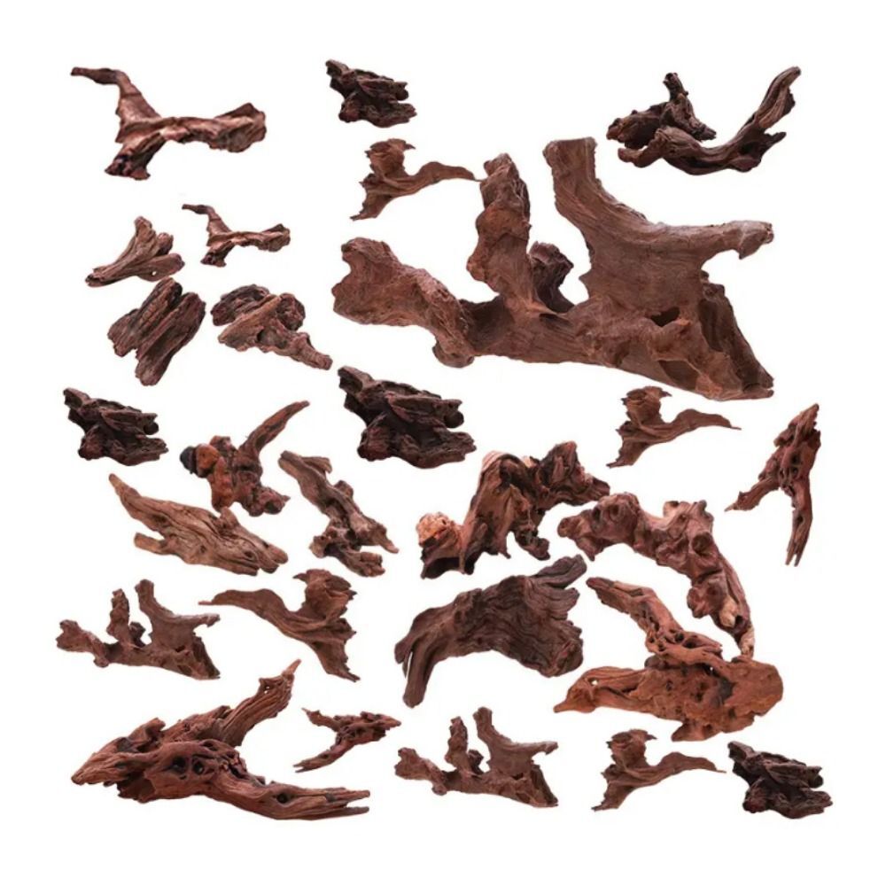 天然石流木水族館の装飾、水槽の木、集中力のある植物の風景