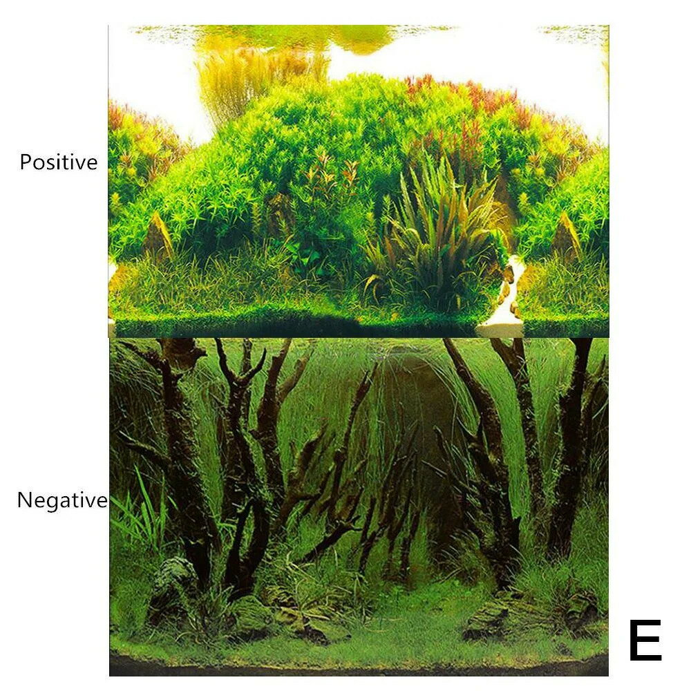 ²ۤط 3d ƥåݥ²ۤطʥ꡼οʪ Aquascape 