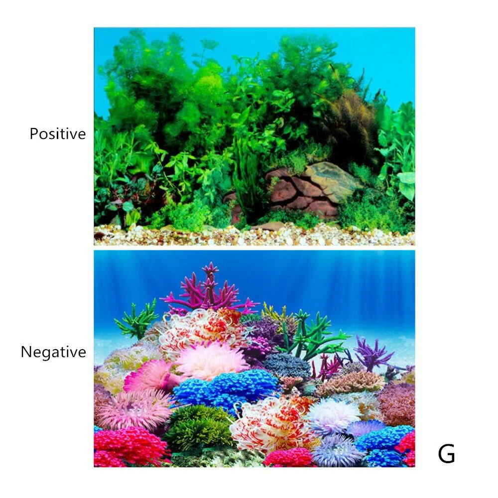 ²ۤط 3d ƥåݥ²ۤطʥ꡼οʪ Aquascape 