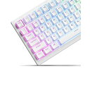 XVX ダブルショットPBTキーキャップセット 60/75/100%対応 - シャインスルーキーキャップ、メカニカルキーボード用 フル131キーセット OEMプロファイル バックライト対応 -ホワイト(US配列)