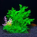 14 種類人工水族館の装飾植物水雑草飾り水生植物水槽草装飾アクセサリー 14.5 センチメートル