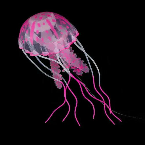 ͹Τ᤯jellyfish²ۤ塢Ƥ뿢ʪȯؤʡ͹