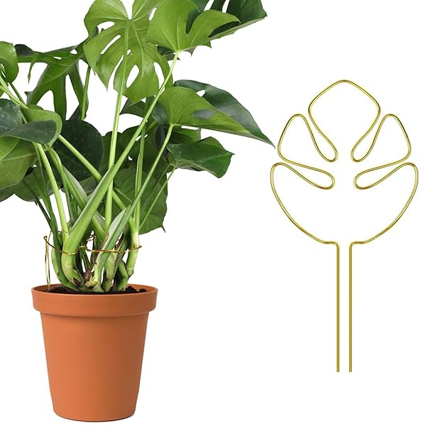 園芸支柱 モンステラ 支柱 屋内屋外植物花つる蘭ローズ用植物茎トレーナー 鉢植え用フッククリップ付き..