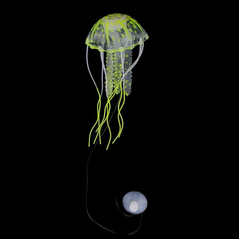 ͹Τ᤯jellyfish²ۤ塢Ƥ뿢ʪȯؤʡ͹