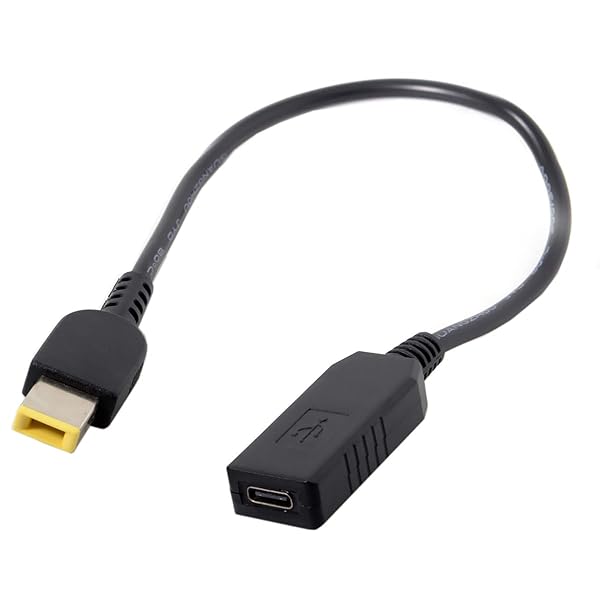 USB 3.1 Type C USB-C - Ĺ 11.05.0mm Ÿץ饰 PD ߥ졼 ȥꥬ ť֥ Leno...