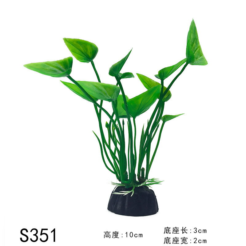ߥ˿²ߥ졼͹տʪĶݸ²꡼