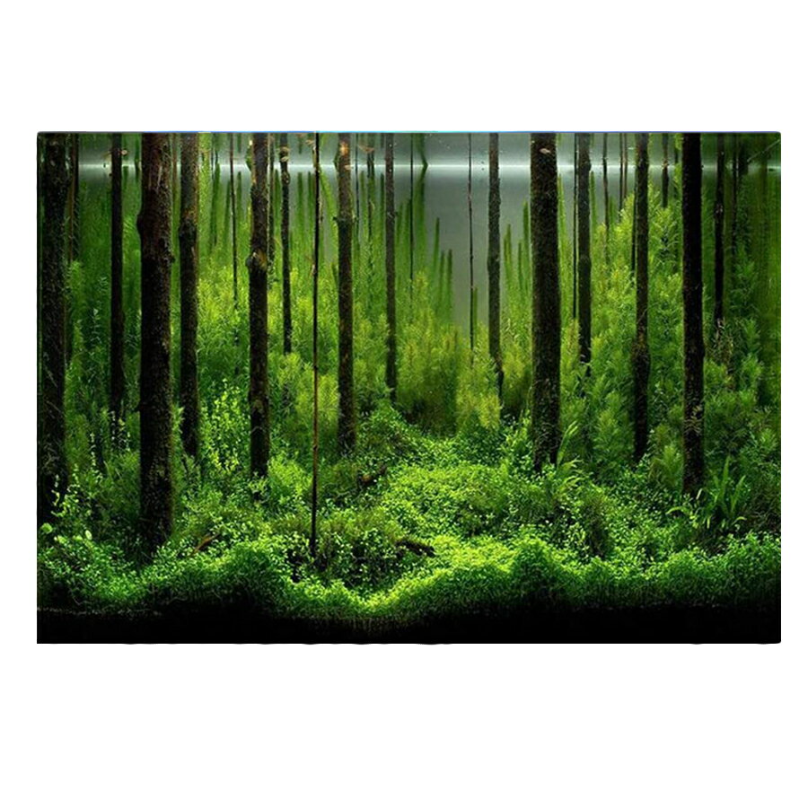 3D PVC²ۥƥå,,ط,οʪط