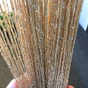 ストリングカーテン ひものれん 2枚入り 100x200cm 11色選べる 色褪せなく 目隠し ラメ入り 間仕切り プライバシー確保 キラキラ光る 高密度 インテリア, シャンペン 100x200cm