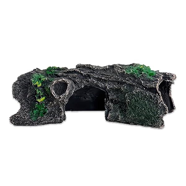 ꥦ ֥ ή  ʥ ƥꥢ  ʪ  Ѿ޵ Ǯӵ   