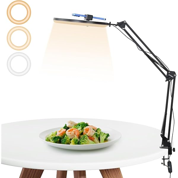 リングライト 10インチ 俯瞰撮影 撮影用ライト 3色照明モード スマホ ライト アーム 360度調整可能 ス..