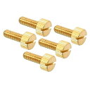 PATIKIL M5x14 mm ローレットつまみねじ 5個 フラットチップ 真鍮 ボルトグリップノブファスナー ストレートショルダー付き レトロランプライト用