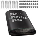 防草シート 1m×20m 除草シート 防そうシート 固定ピン ぼうそうシート 10年耐久 厚手 高密度 高透水 高耐久 雑草対策 雑草防止 庭 通路 物干し場 園芸用 工事用
