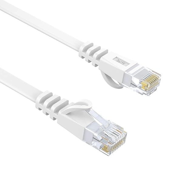 LANケーブル 30M CAT6 カテゴリー6 RJ45 ホワイト イーサネットケーブル ネットワーク フラットケーブル やわらか 爪折れ防止 薄い モデム ゲーム ルーター PS4等に対応