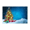 クリスマス Merry Christmas 写真撮影用 背景布 背景 布 写真 摄影 撮影用 星 クリスマスツリー 人物撮影 子供撮影 布バック 背景シート 写真館 撮影スタジオ用 自宅用 ビニール製 2.1x1.5m