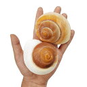 2つの大寄居蟹貝殻 ヤドカリのおうち 宿替え用 サイズ 高さ 68-88mmキャリバー 25-38mm