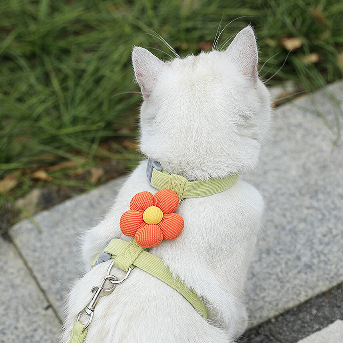 ǭϡͥȥ꡼ɥåȾĴǽʸϡͥ꡼̵ڥåȥϡͥȥ󥰸ȥå