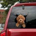 Uteリトルプードル亀裂3d車のステッカー、面白い現代アートデザインステッカー、車の装飾ステッカー、車の窓バンパーステッカー、冷蔵庫ステッカー、インテリア装飾、トイレステッカー