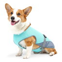 犬用冷却ベスト、軽量ジャケット、シャツ、UV保護、冷却ハーネス、夏