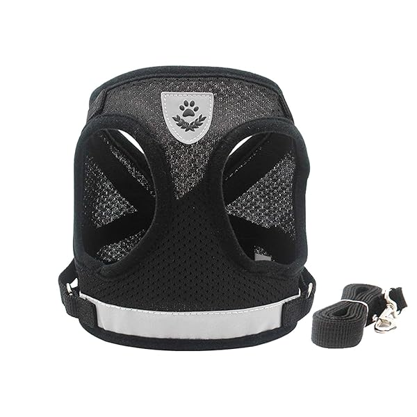 �ϡ��ͥ� �� ƹ�� �ϡ��ͤ��꡼�ɥ��åȾ����� Ķ������ �Ҹ� ǭ �٥��ȥ�����å��� ȿ�͵�