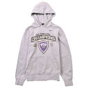 NIKE ナイキ TCU ホーンドフロッグズ テキサスクリスチャン大学 カレッジ系 プルオーバー スウェット パーカ 霜降りグレー メンズS▼