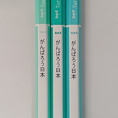 [名入れ無料]【トンボ】ippo！イッポ　かきかたえんぴつ　2B　プレーングリーン 　KB-KPN04-2B