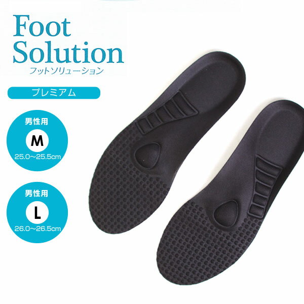 COLUMBUS コロンブス foot solution フットソリューション ヘルシーアーチプレミアム インソール 中敷き お手入れ ケア用品 フットケア かかとケア ブラック メンズ 1