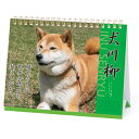 【お買い得品】アートプリントジャパン 2025年版カレンダー 犬川柳 柴犬 イヌ 卓上 A.P.J. 1000132327