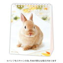 【お買い得品】アクティブコーポレーション 2026年版 卓上カレンダー Sweet Rabbit うさぎ 26ACL-571
