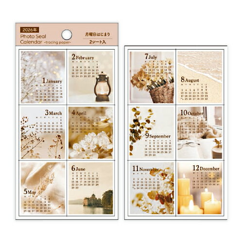 ڥãͤ㤨֡ڤ㤤ʡۥѥ֥å 2026ǯǥȥڡեȥ롦 Ϥޤ ١ PINE BOOK X-473פβǤʤ246ߤˤʤޤ