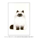 【お買い得品】グリーティングライフ 米津祐介 ポストカード ペルシャねこ YZ-448