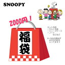 福袋 スヌーピー お楽しみ袋 SNOOPY ギフト プレゼント 雑貨 ファンシー お誕生会 クリスマス イベント お買い得 対象年齢小学生