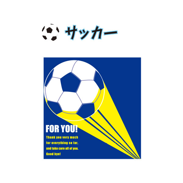 学校色紙2 サッカー 9717 アルタ AR0819069