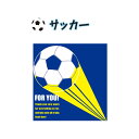 P 学校色紙2 サッカー 9717 アルタ AR0819069