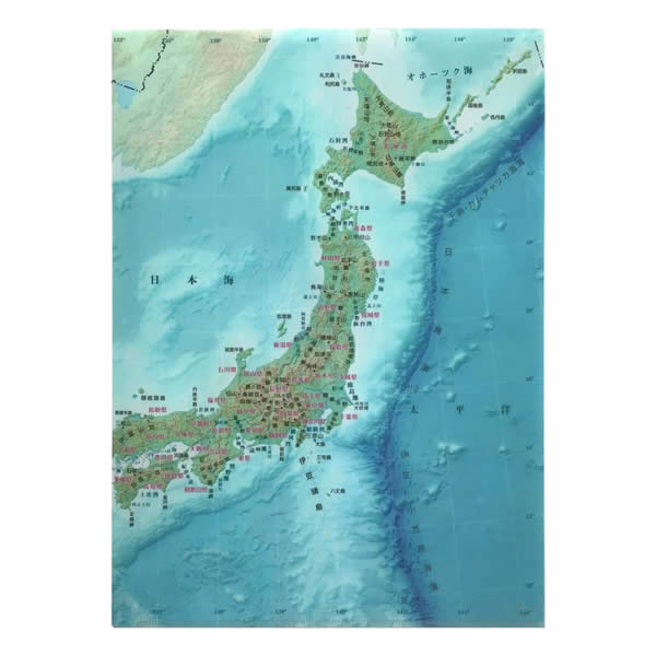 ���ꥢ�ե����� �������� 3476 P ��������ȥ���ե��å� CFNE