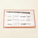 ブラウゼ カリグラフィー&ライティングセット HB139B BRAUZE カリグラフィー つけペン 軸 ペン軸 手書き 冬ギフト クリスマス