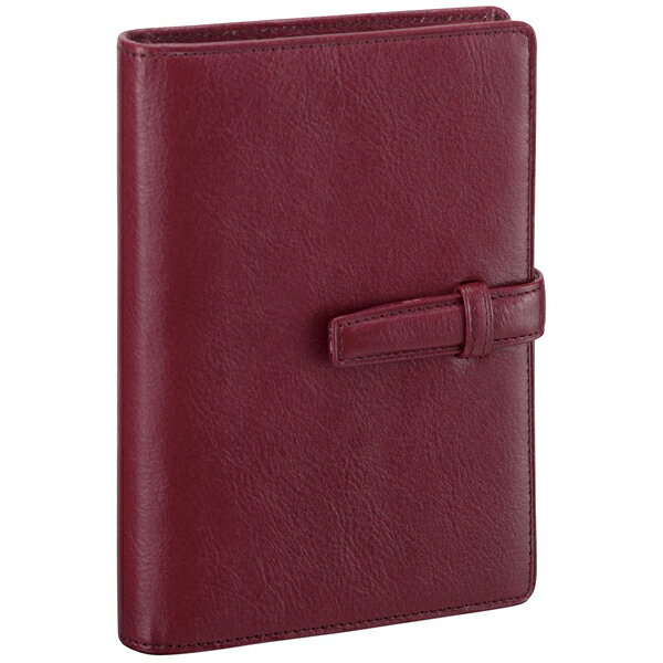 システム手帳 ダ・ヴィンチ スタンダード ポケットサイズ リング14mm DP3008Z ワイン 冬ギフト クリスマス