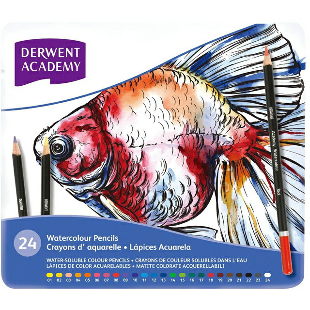 ダーウェント 色鉛筆 アカデミーウォーターカラーペンシル 2301942 24色 メタルケース DERWENT 水彩色鉛筆 ぬり絵