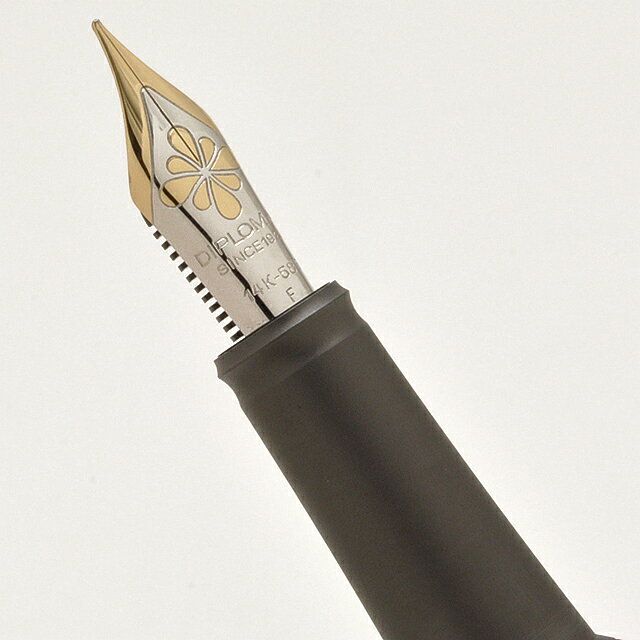 Foto di Aero 14K Fountain Pen
