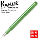 NM JFR RNV Kaweco Collection i vbg O[ KAWECO  Mtg ML j ̓ v[g