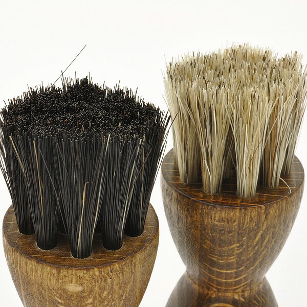 ��4/15�Ϻ���P5�ܡ��� ���������� �����˥� 1909 ���ץꥱ�������֥饷 ������ 19091 ����� �����