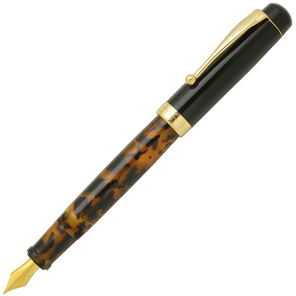 Tortoiseshell Fountain pen