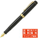 【11/30は最大P5倍!】 即日発送 万年筆 名入れ Pent〈ペント〉 by 大西製作所 アセテート アークモデル 記憶の絃(いと)オリジナル 万年筆プレゼ...